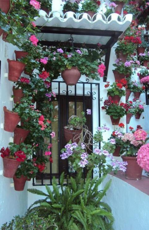 Hostal Los Claveles Baena Esterno foto